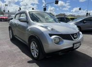 2010 Nissan Juke