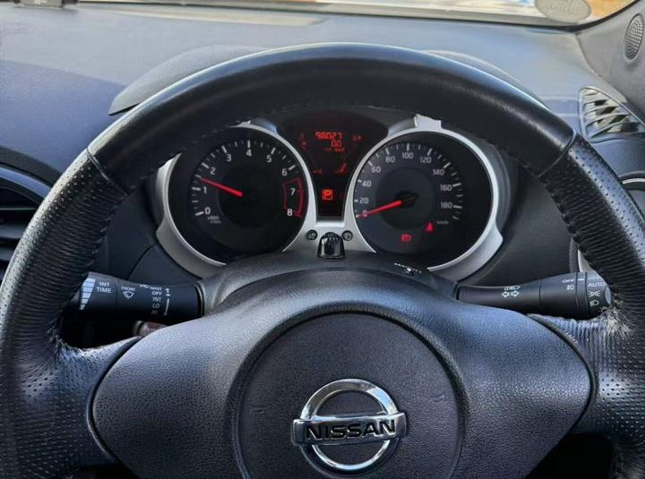 2010 Nissan Juke