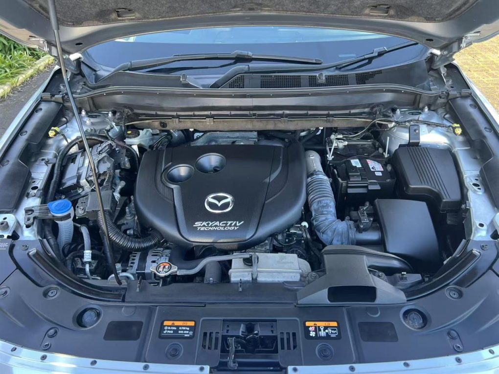 2019 Mazda CX-8