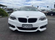 2015 BMW 220i