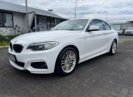 2015 BMW 220i