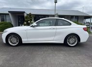 2015 BMW 220i