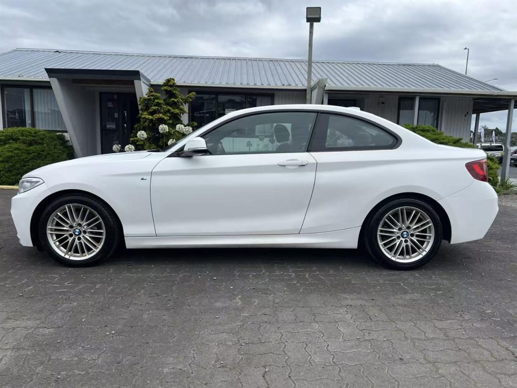 2015 BMW 220i