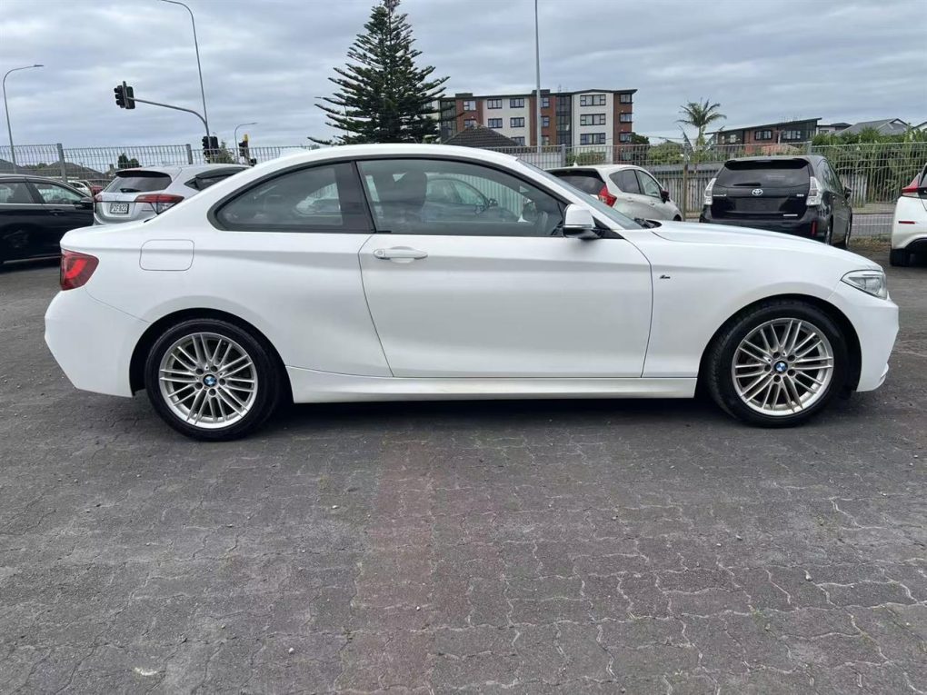 2015 BMW 220i
